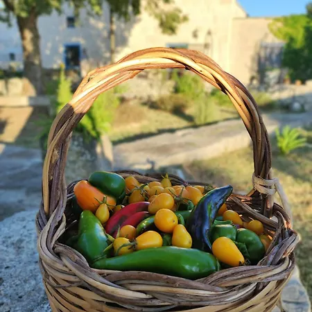 Masseria Cataldo Фермерский дом *