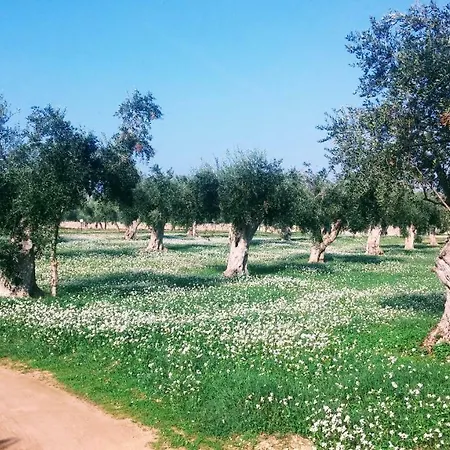 Фермерский дом Masseria Cataldo *