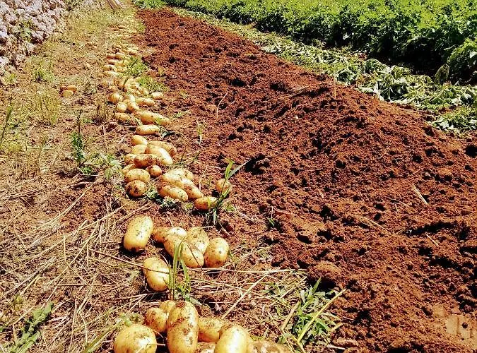 Masseria Cataldo Feriegård