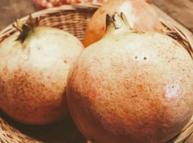 Masseria Cataldo Agroturismo Corigliano dʼOtranto