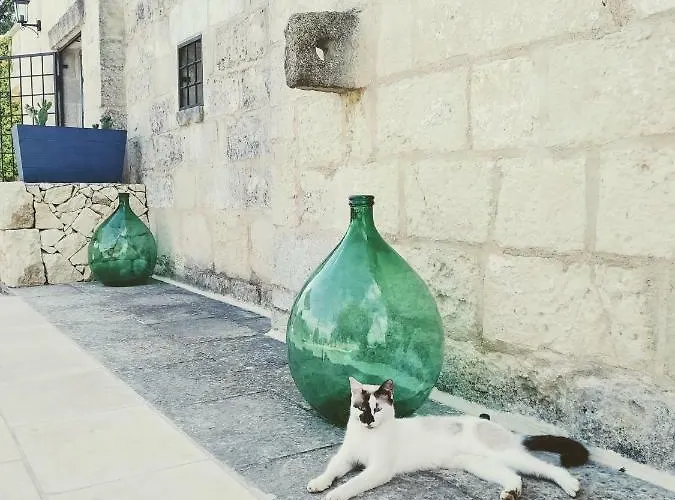 Masseria Cataldo Corigliano dʼOtranto