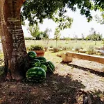 Masseria Cataldo