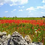 Masseria Cataldo