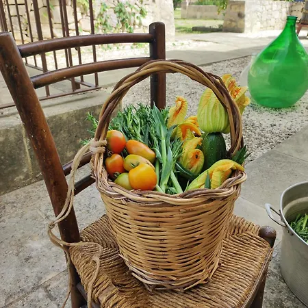 Farm stay Masseria Cataldo