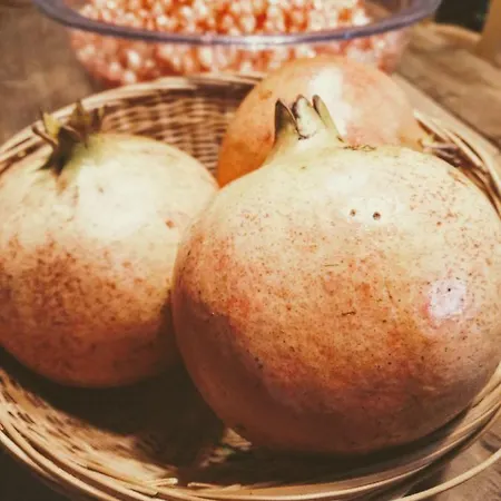 Masseria Cataldo Farm stay Corigliano d'Otranto