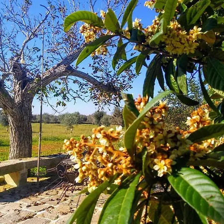 Κατάλυμα σε φάρμα Masseria Cataldo *