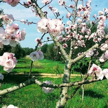 Vakantieboerderij Masseria Cataldo *