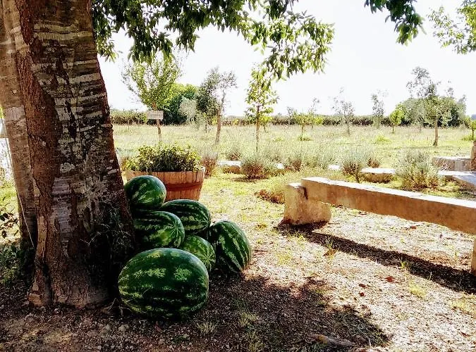 Masseria Cataldo