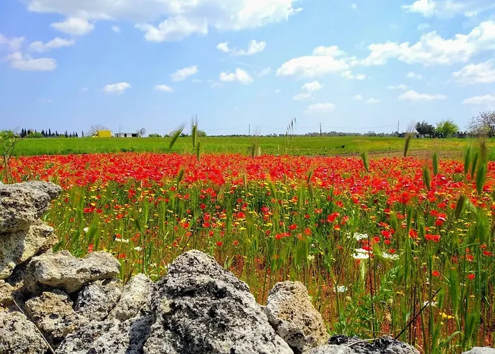 Masseria Cataldo
