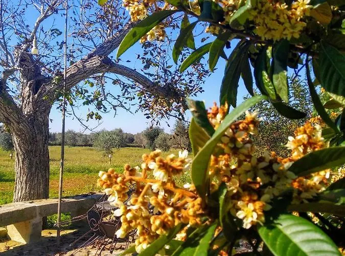 Lantgård Masseria Cataldo *
