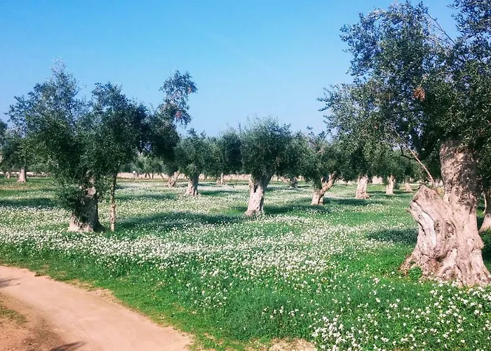 Alloggio per agriturismo Masseria Cataldo *